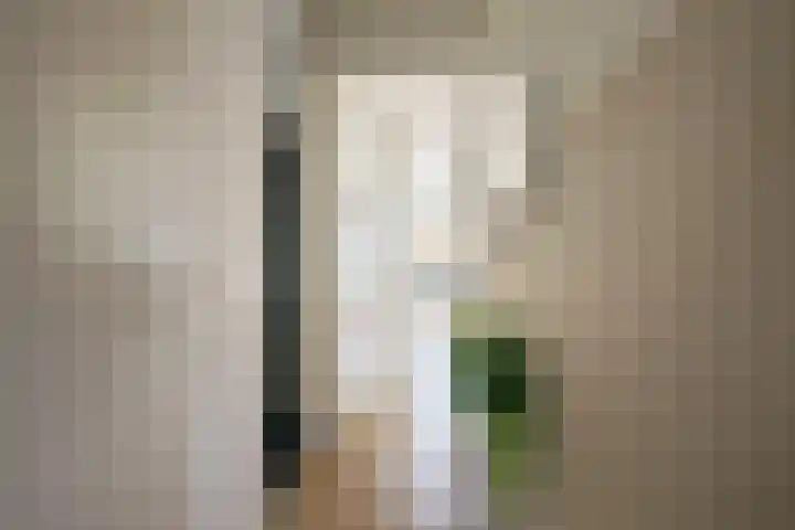 Cellostraat 55 Eindhoven thumbnail 4