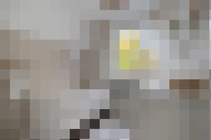Cellostraat 69 Uden thumbnail 23