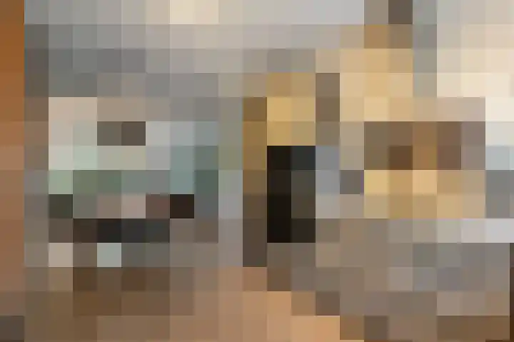 Celsiushage 21 Emmeloord thumbnail 14