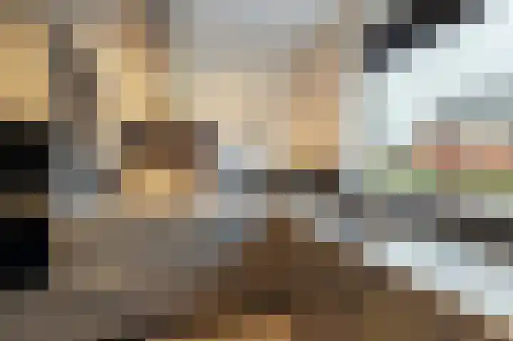 Celsiushage 21 Emmeloord thumbnail 15