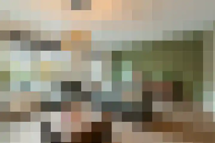 Celsiushage 21 Emmeloord thumbnail 20
