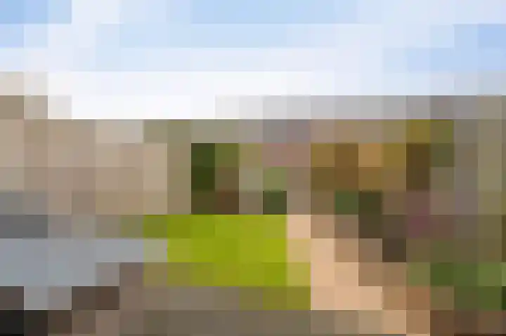 Celsiushage 21 Emmeloord thumbnail 25