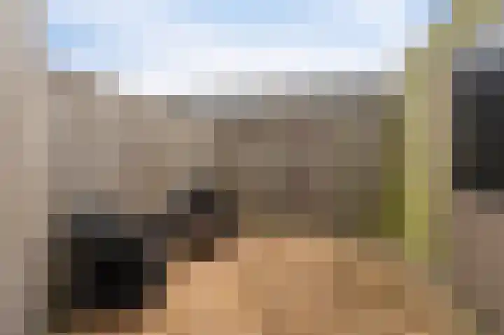 Celsiushage 21 Emmeloord thumbnail 30