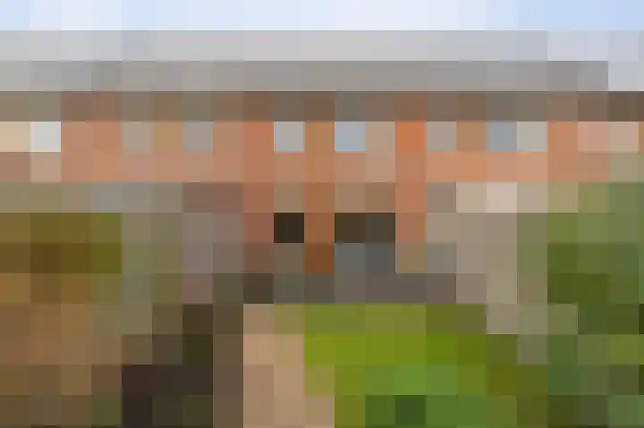 Celsiushage 21 Emmeloord thumbnail 4