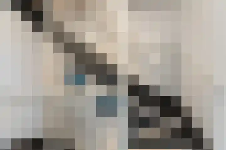 Celsiushage 21 Emmeloord thumbnail 43
