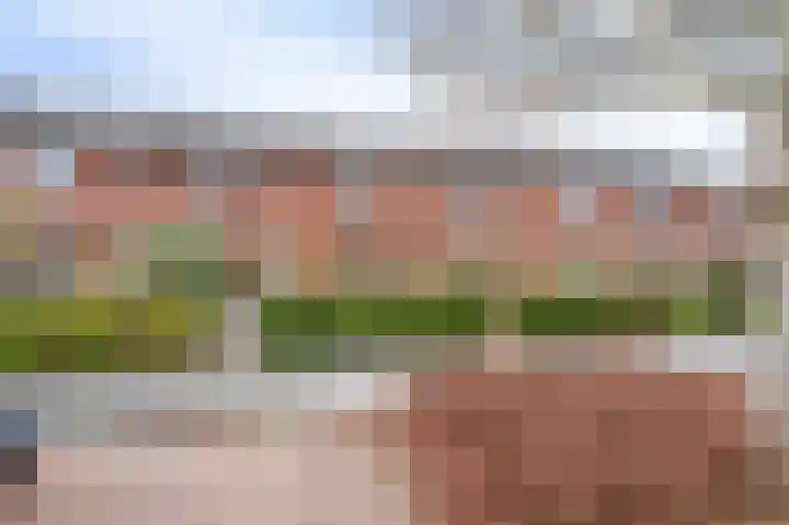 Celsiushage 21 Emmeloord thumbnail 5