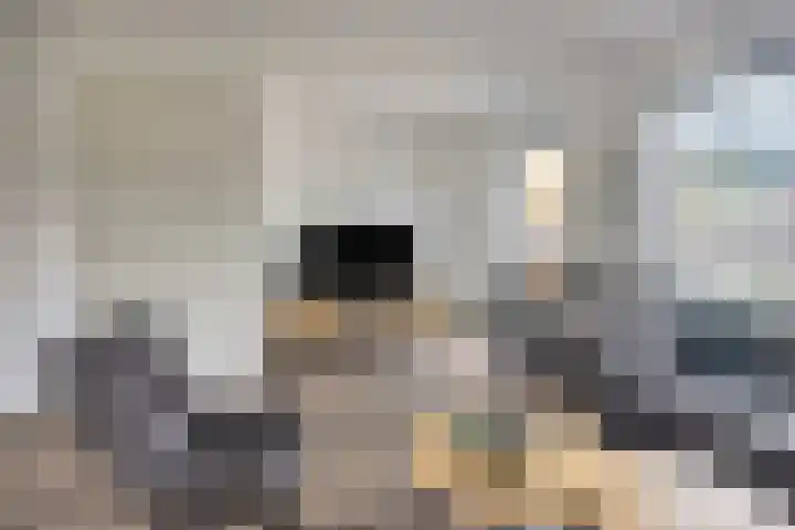 Celsiushage 34 Emmeloord thumbnail 10
