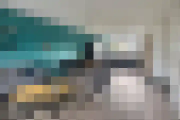 Celsiushage 34 Emmeloord thumbnail 12