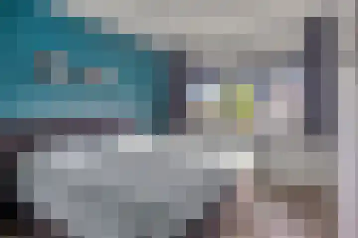 Celsiushage 34 Emmeloord thumbnail 21
