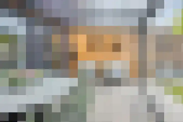 Celsiushage 34 Emmeloord thumbnail 37