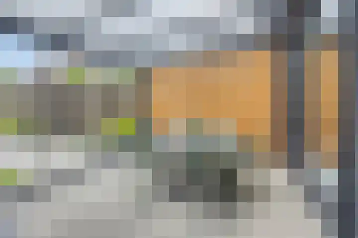 Celsiushage 34 Emmeloord thumbnail 38