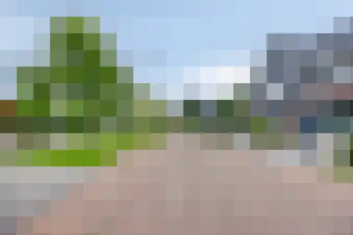 Celsiushage 34 Emmeloord thumbnail 40