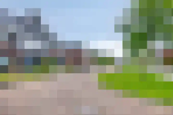 Celsiushage 34 Emmeloord thumbnail 41