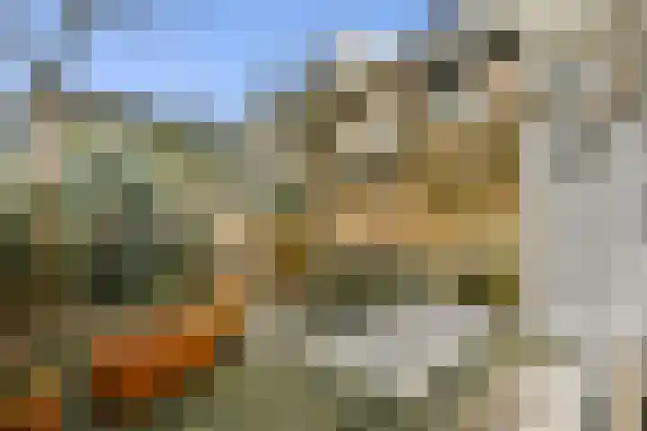 Celsiusstraat 45 Amsterdam foto 2