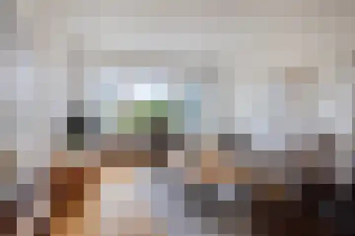 Celsiusstraat 52 Terneuzen thumbnail 4