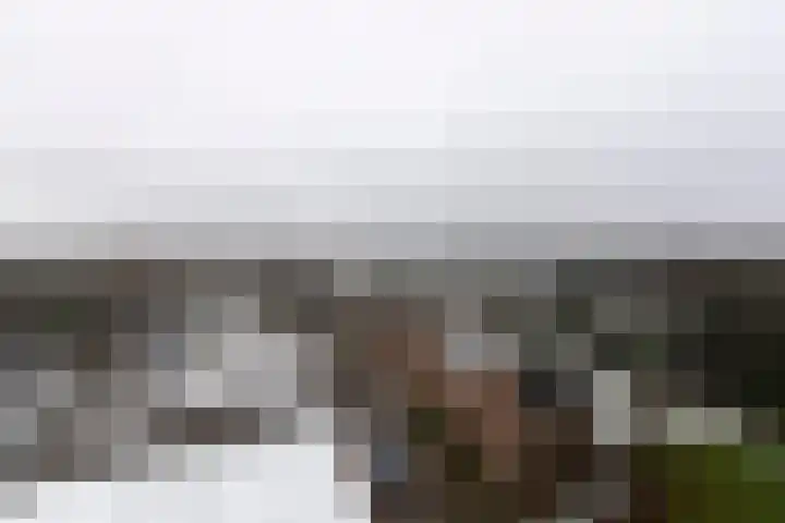 Cenakel 78 Tilburg thumbnail 5