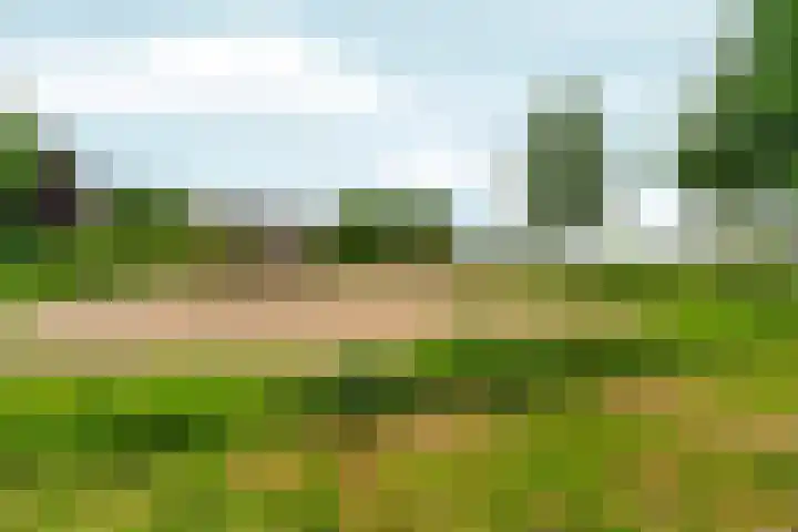 Centraalspoor 15 Arnhem thumbnail 53