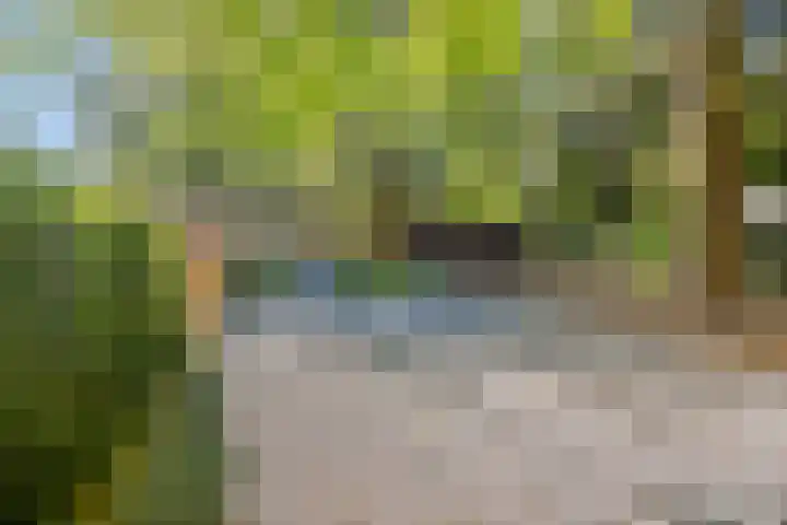 Centrumweg 5 01 Epe thumbnail 23