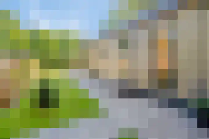 Centrumweg 5 01 Epe thumbnail 4