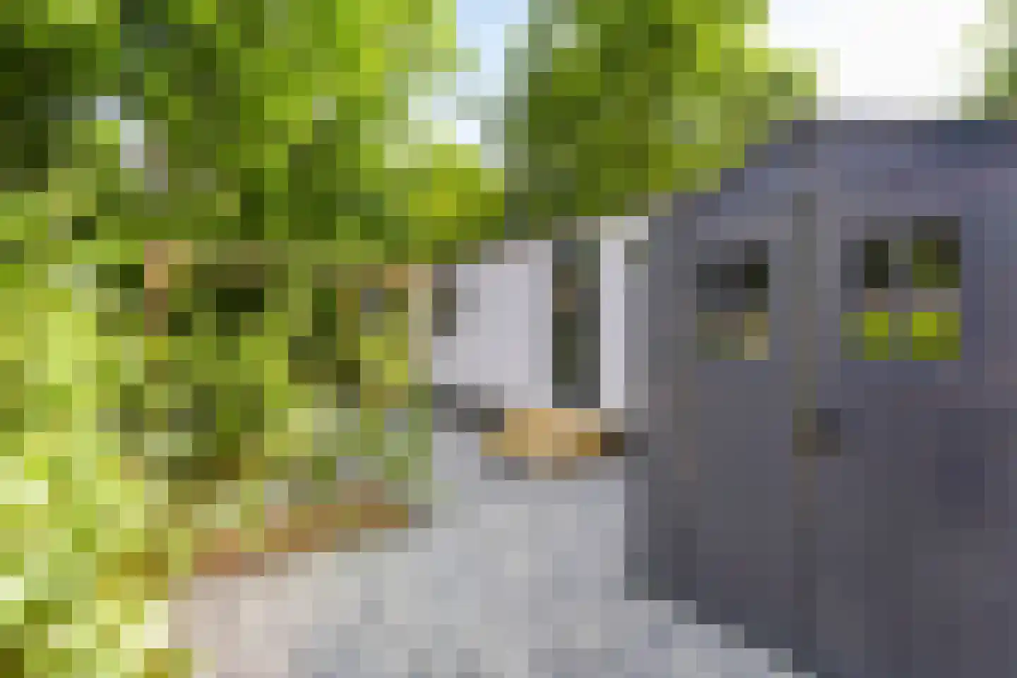 Centrumweg 5 29 Epe thumbnail 4