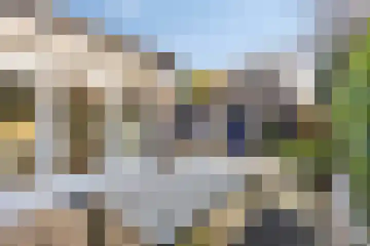 Cerberusstraat 60 Rosmalen thumbnail 29