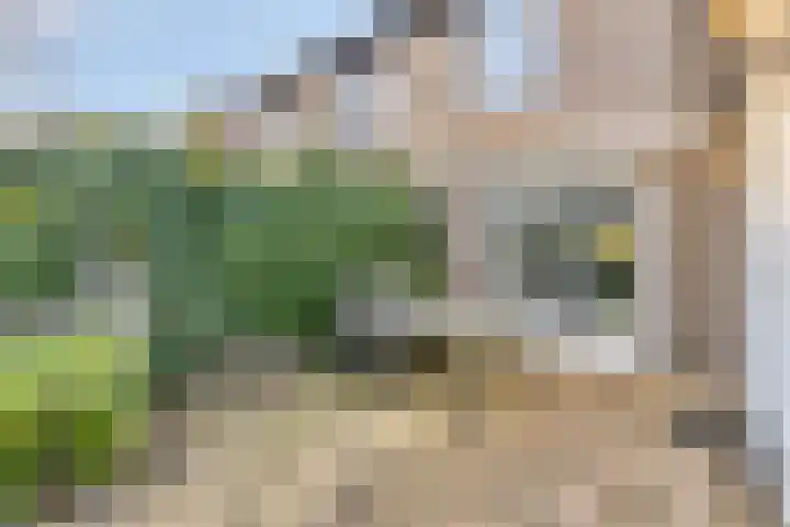 Cerberusstraat 60 Rosmalen thumbnail 33