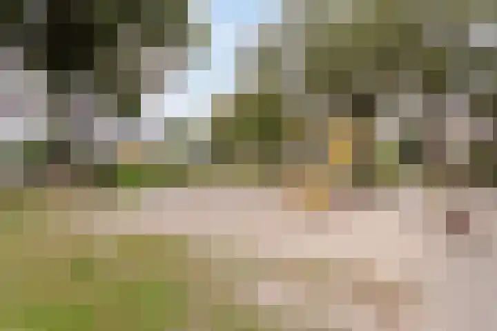 Cerberusstraat 60 Rosmalen thumbnail 42