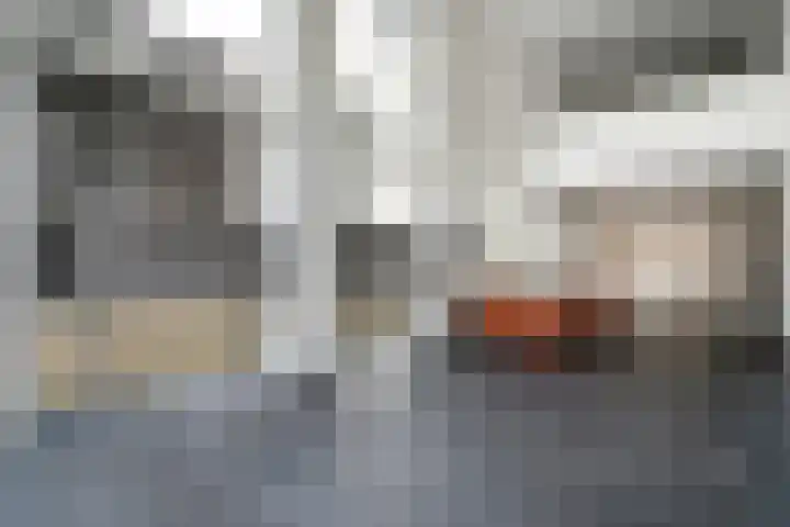 Ceres 14 Weert thumbnail 12