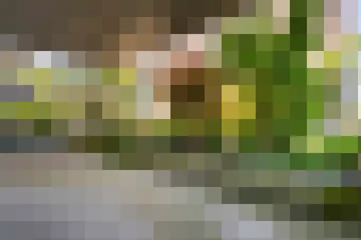 Ceres 14 Weert thumbnail 33