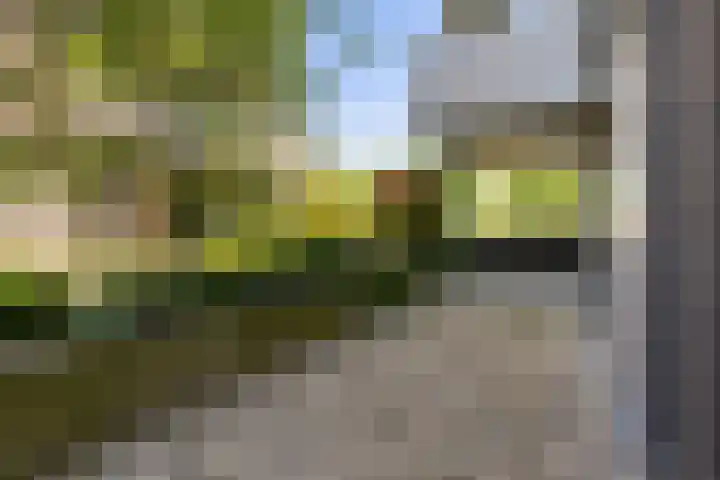 Ceres 14 Weert thumbnail 5