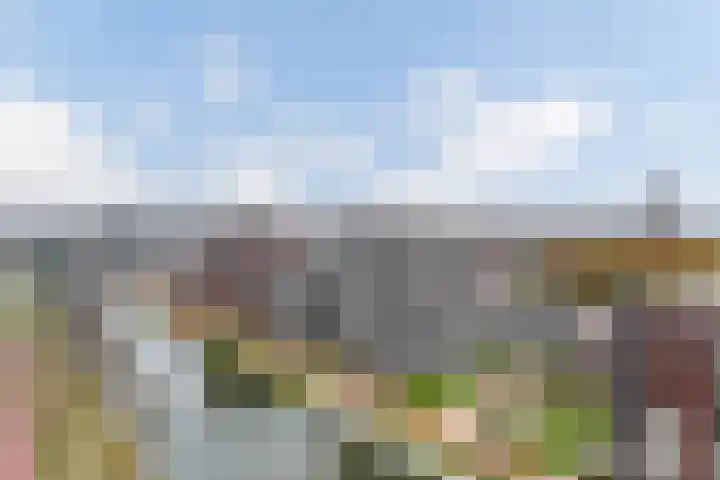 Ceres 14 Weert thumbnail 6