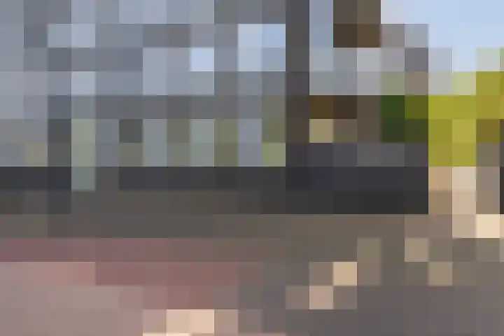 Ceres 14 Weert thumbnail 9