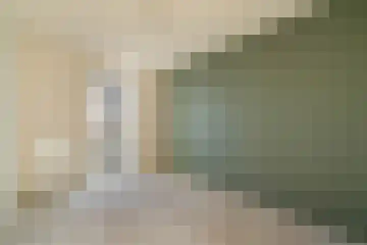 Ceres 36 Weert thumbnail 22
