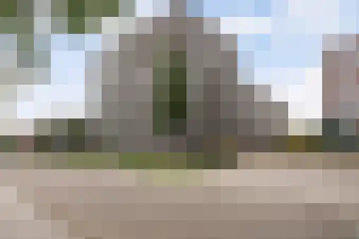 Ceres 36 Weert thumbnail 39