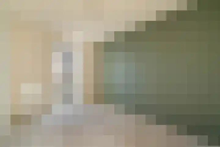 Ceres 36 Weert thumbnail 4