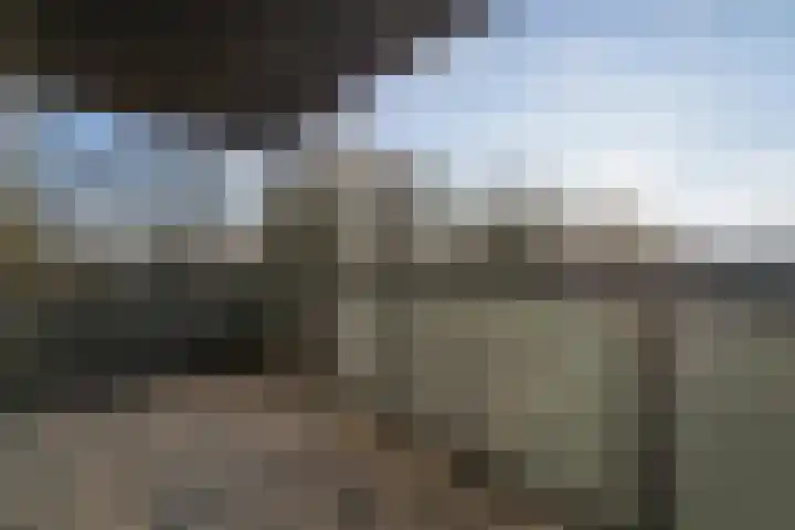 Ceres 36 Weert thumbnail 5