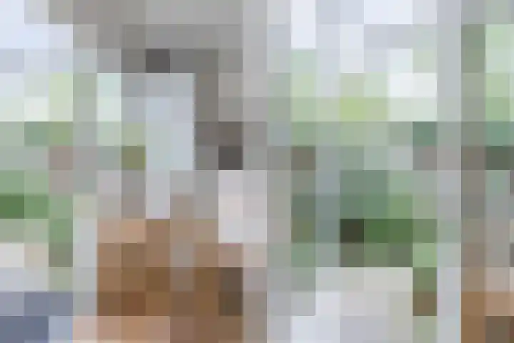 Cereslaan 24 Bussum thumbnail 12
