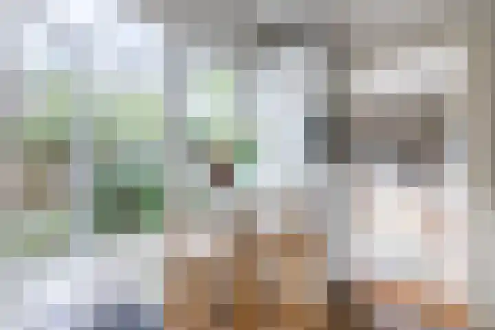 Cereslaan 24 Bussum thumbnail 13