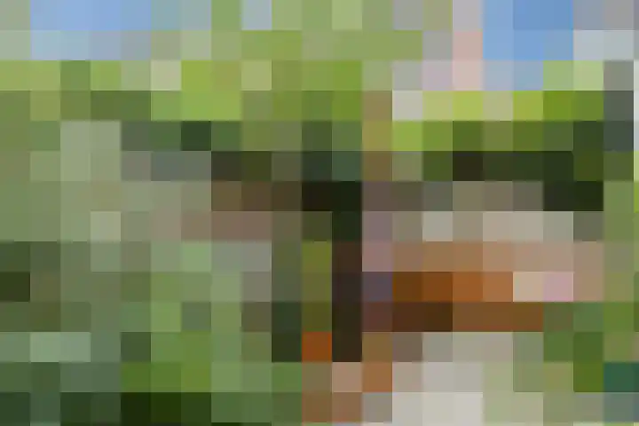 Cereslaan 24 Bussum thumbnail 27