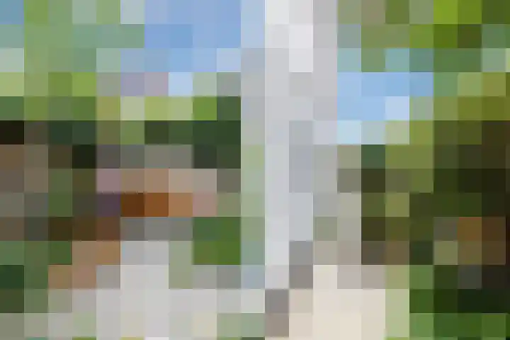Cereslaan 24 Bussum thumbnail 29