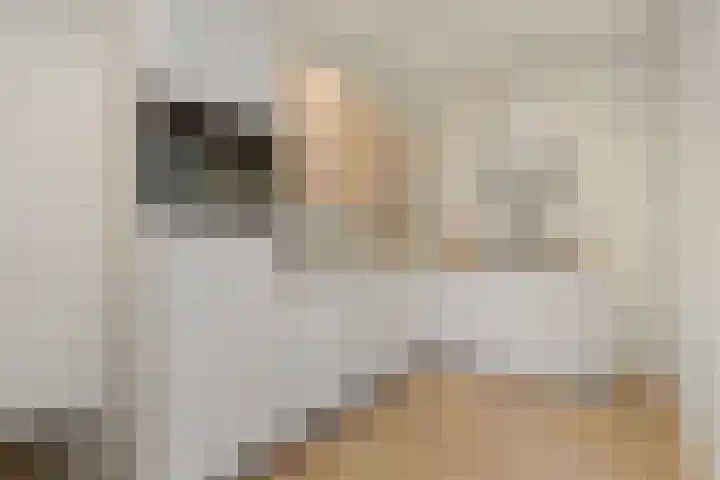 Cereslaan 8 Bussum thumbnail 9