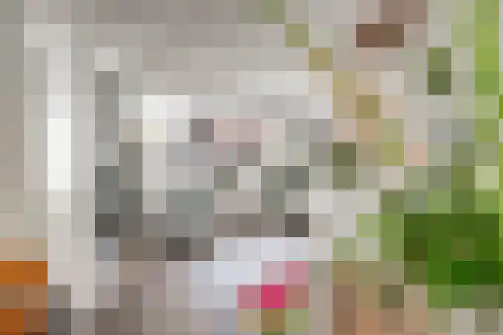 Chansondreef 36 Harderwijk thumbnail 14
