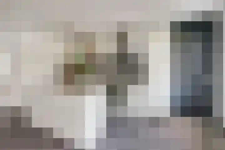Chansondreef 36 Harderwijk thumbnail 16