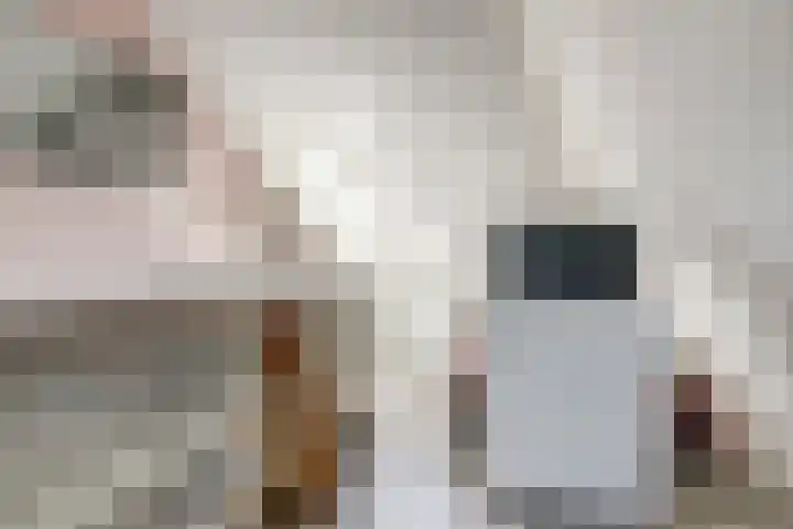 Chansondreef 36 Harderwijk thumbnail 26