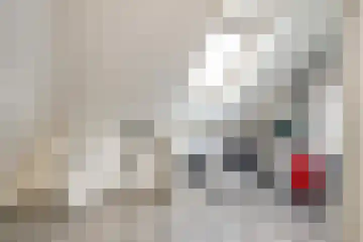 Chansondreef 36 Harderwijk thumbnail 30