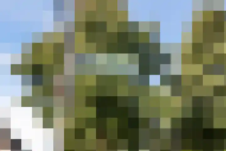 Chansondreef 36 Harderwijk thumbnail 35