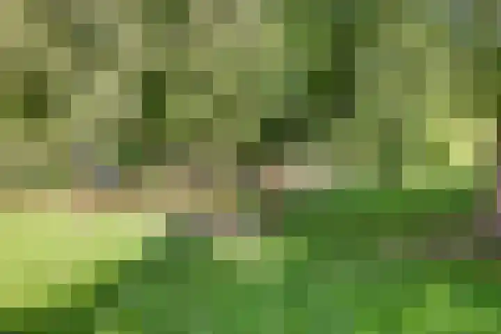 Chansondreef 36 Harderwijk thumbnail 36