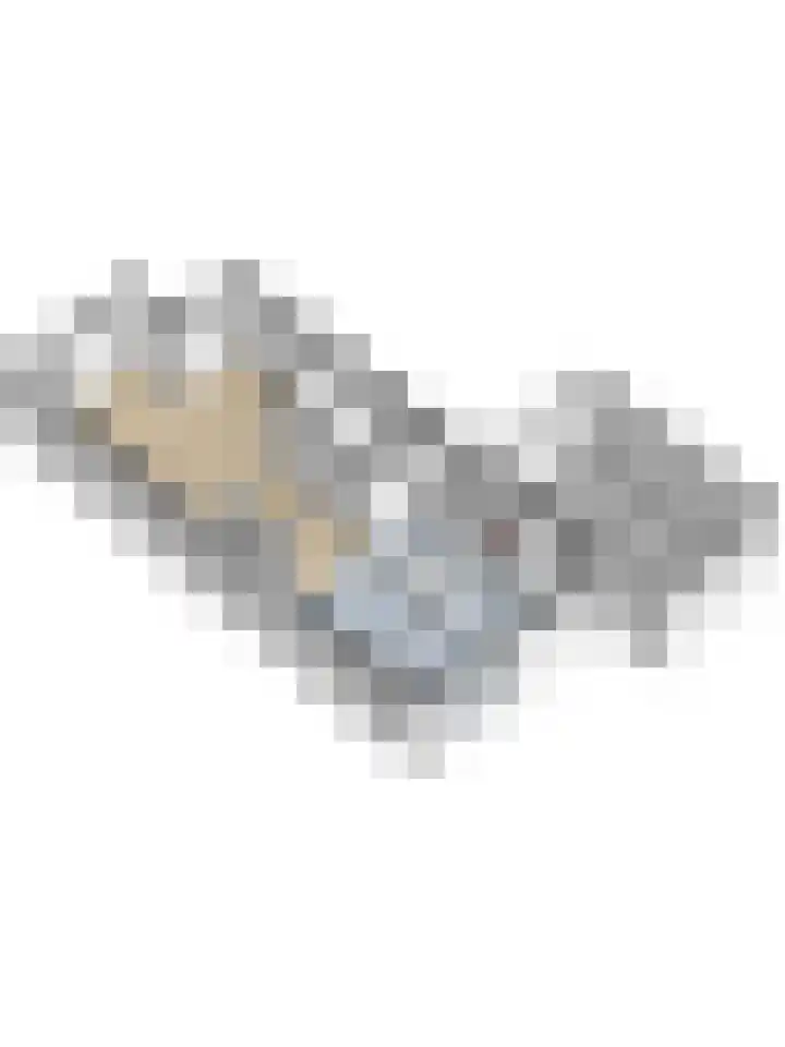 Chansondreef 36 Harderwijk thumbnail 42