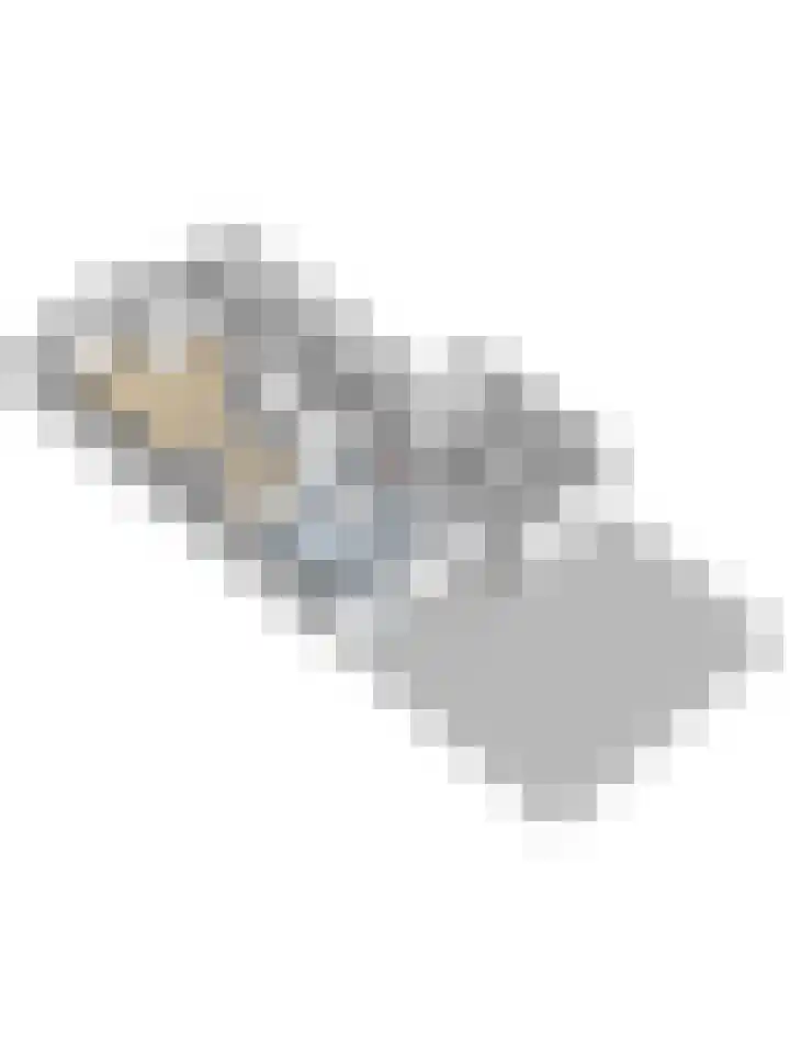 Chansondreef 36 Harderwijk thumbnail 48