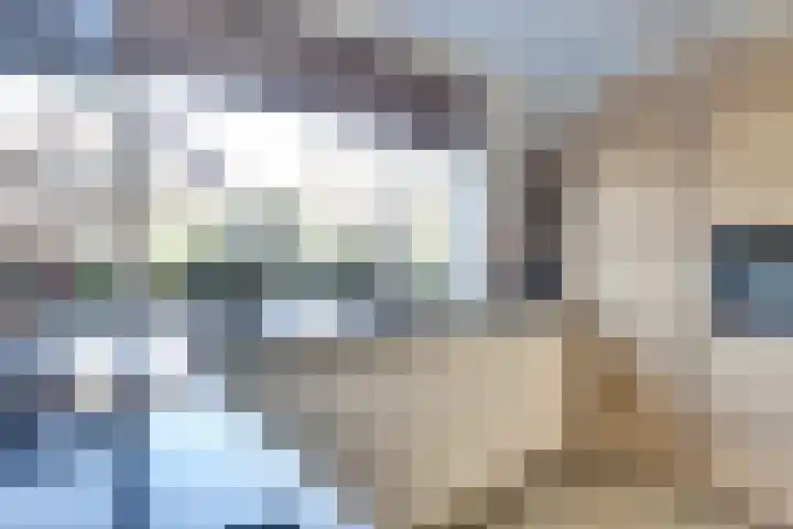 Chansondreef 75 Harderwijk thumbnail 16